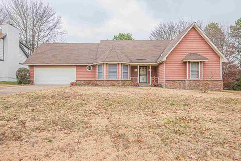 6562 Split Oak Dr, Memphis, TN 38115 photo 1