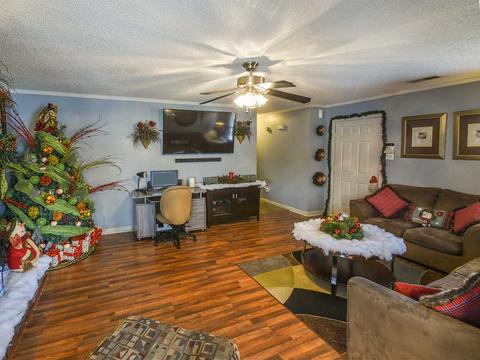 4215 Spring Leaf Ln, Memphis, TN 38141 photo 3