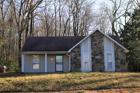 4430 Tarleton Dr, Memphis, TN 38128 photo 1