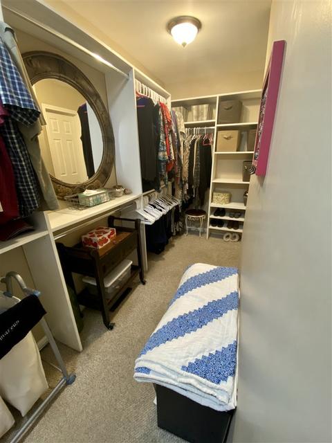 317 Spring Mill Rd, Collierville, TN 38017 photo 19