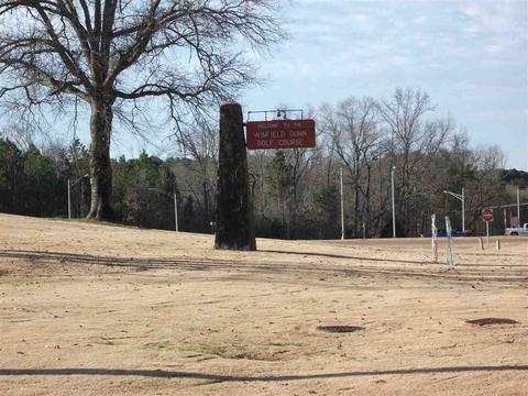 985 Old Rd, Counce, TN 38326 photo 8