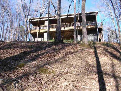 985 Old Rd, Counce, TN 38326 photo 1
