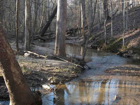 985 Old Rd, Counce, TN 38326 photo 7