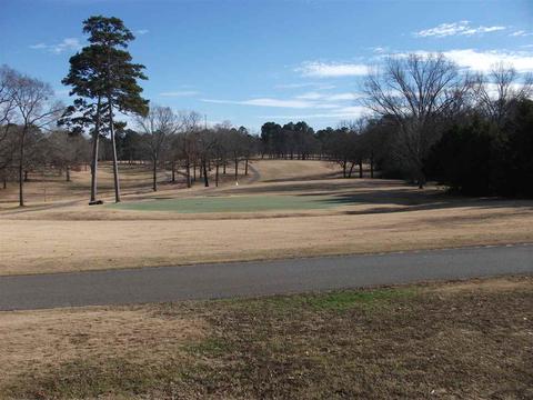 985 Old Rd, Counce, TN 38326 photo 5