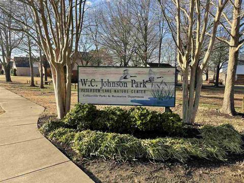 1564 Wolf Ridge Dr, Collierville, TN 38017 photo 3