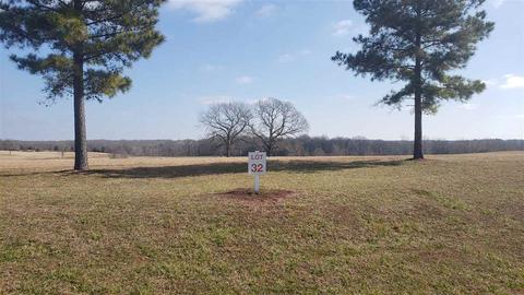 190 Hutton Dr, Williston, TN 38076 photo 1