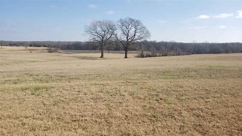 190 Hutton Dr, Williston, TN 38076 photo 2