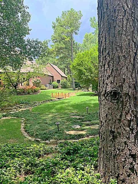 4601 Whisper Spring Dr, Collierville, TN 38017 photo 4