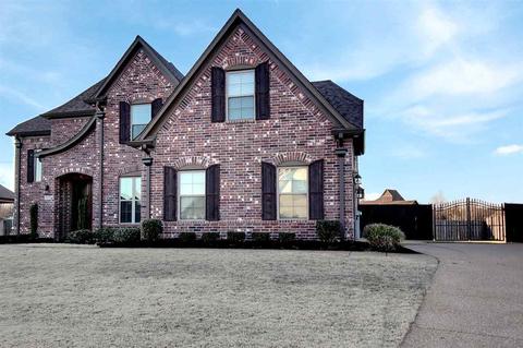 3523 Ballard Dr, Bartlett, TN 38133 photo 2