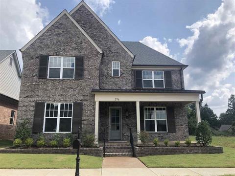 376 Nuthatch Dr, Collierville, TN 38017 photo 1