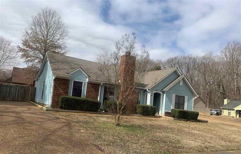 4475 Window Dr, Memphis, TN 38135 photo 1