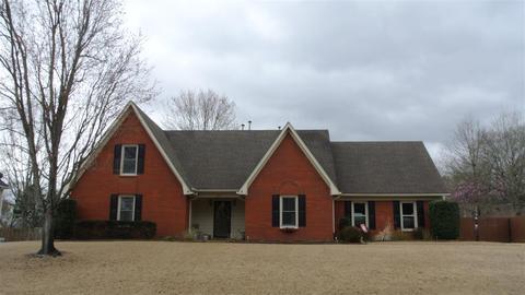 257 Schrader Ln, Collierville, TN 38017 photo 25