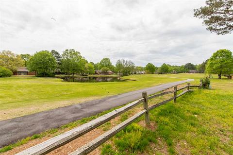 10290 Peyton Path Cv, Collierville, TN 38017 photo 21