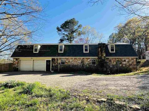 205 Ode Moore Rd, Michie, TN 38357 photo 1