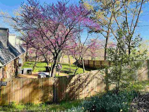 205 Ode Moore Rd, Michie, TN 38357 photo 23