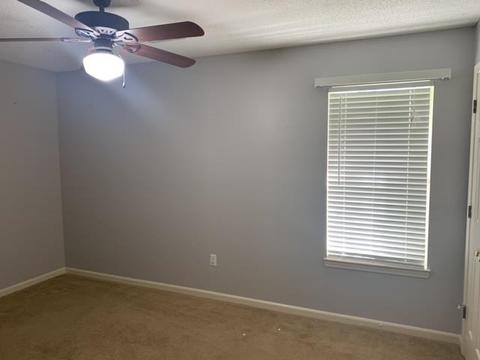 6217 River Birch Rd, Walls, MS 38680 photo 6