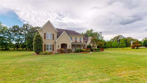 11225 Doublegate Ln, Eads, TN 38028 photo 3