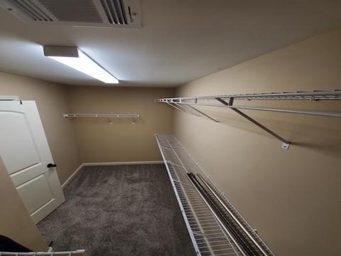 6400 Bending River Rd, Bartlett, TN 38135 photo 12