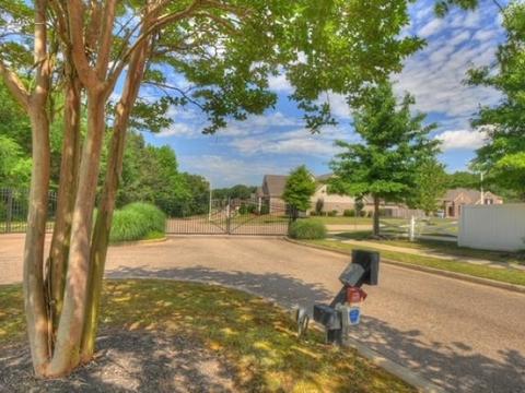 3218 Brunswick View Cv, Bartlett, TN 38133 photo 2