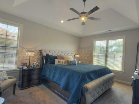 3218 Brunswick View Cv, Bartlett, TN 38133 photo 10