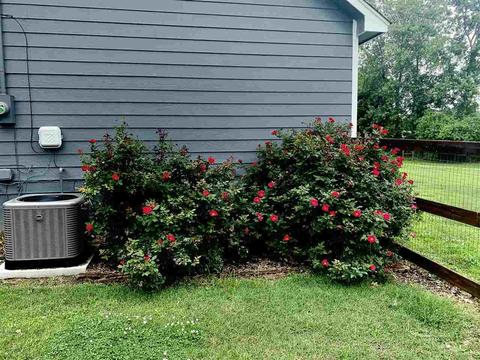 5716 Bride Rd, Covington, TN 38019 photo 23