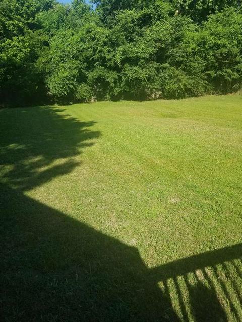 232 Groom Ave, Covington, TN 38019 photo 3