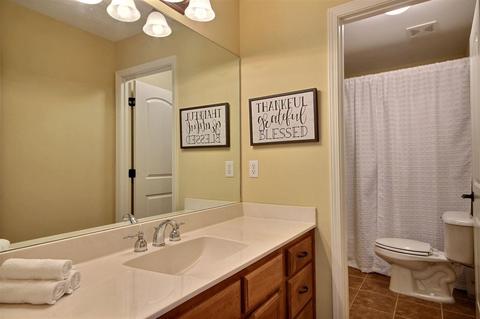 158 E Porter Run Dr, Collierville, TN 38017 photo 21