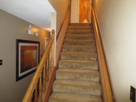 3764 Oak Forest Dr, Bartlett, TN 38135 photo 21
