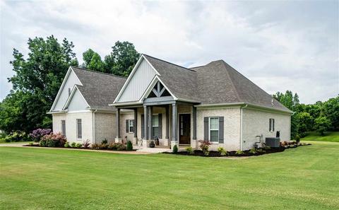 1810 Dolan Rd, Drummonds, TN 38023 photo 3