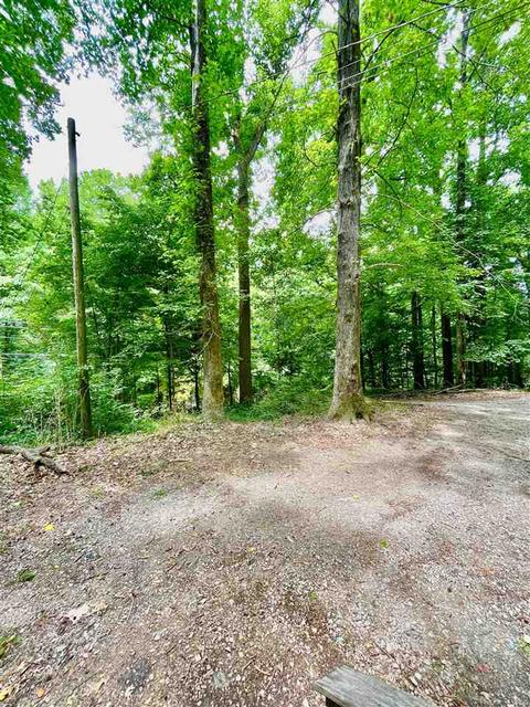 1654 Tate Rd, Drummonds, TN 38023 photo 18