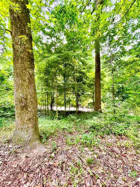 1654 Tate Rd, Drummonds, TN 38023 photo 19