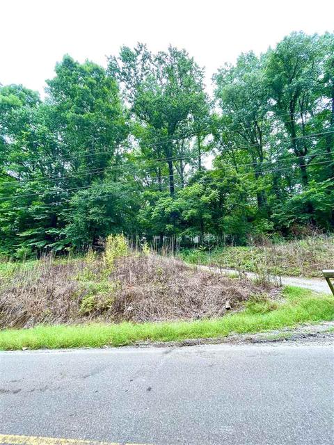 1654 Tate Rd, Drummonds, TN 38023 photo 14