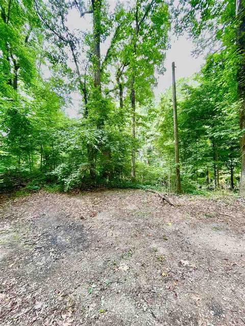 1654 Tate Rd, Drummonds, TN 38023 photo 17