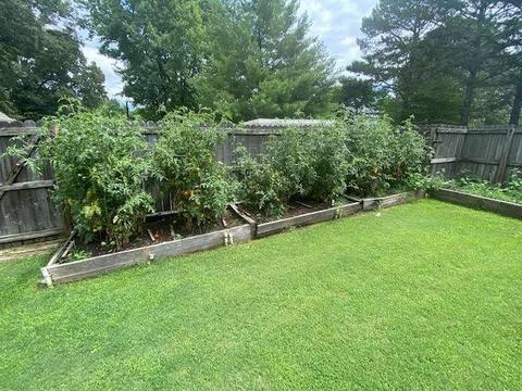 120 Edenberg Dr, Collierville, TN 38017 photo 4
