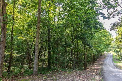 685 Wayne Elam Rd, Ramer, TN 38367 photo 24