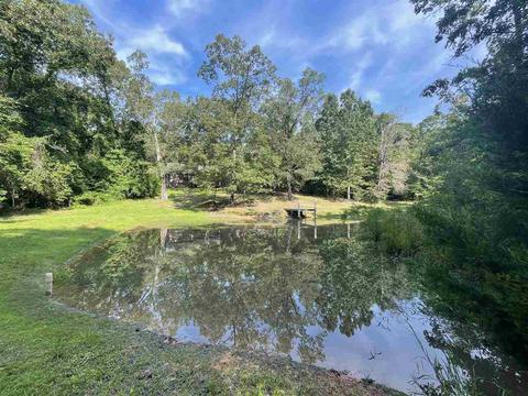 575 Good Springs Loop, Williston, TN 38076 photo 3