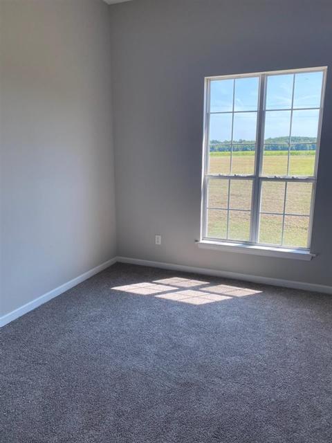 437 Gene Johnson Rd, Stanton, TN 38069 photo 12