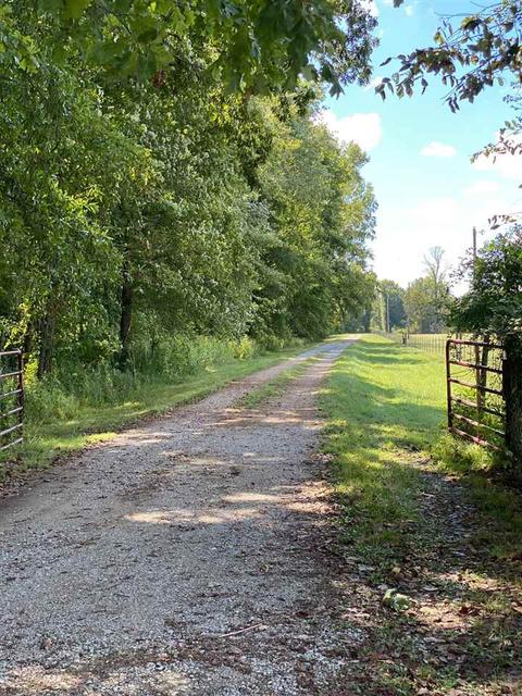 577 S Circle Rd, Memphis, TN 38127 photo 3
