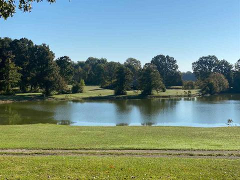 577 S Circle Rd, Memphis, TN 38127 photo 6