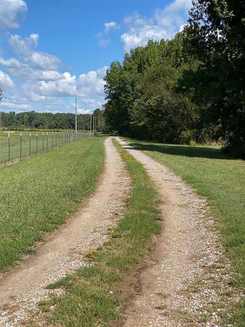 577 S Circle Rd, Memphis, TN 38127 photo 4