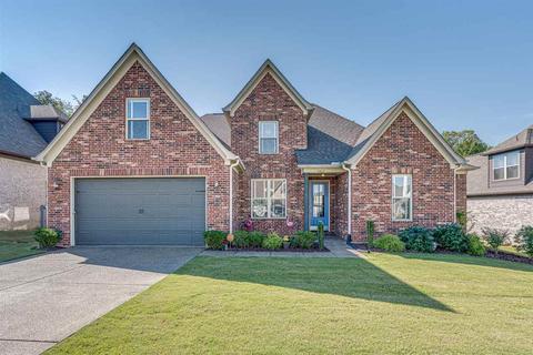 8465 Butterfly View Ln, Bartlett, TN 38133 photo 1