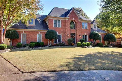 774 Evans View Cv, Collierville, TN 38017 photo 3