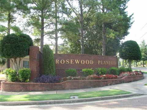 774 Evans View Cv, Collierville, TN 38017 photo 25