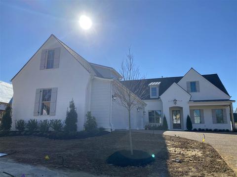 10139 Nighthawk Cv, Collierville, TN 38017 photo 1