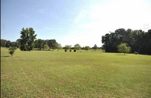 60 Diffee Rd, Moscow, TN 38057 photo 4