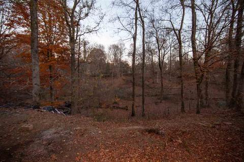 450 Pine Ln, Drummonds, TN 38023 photo 16