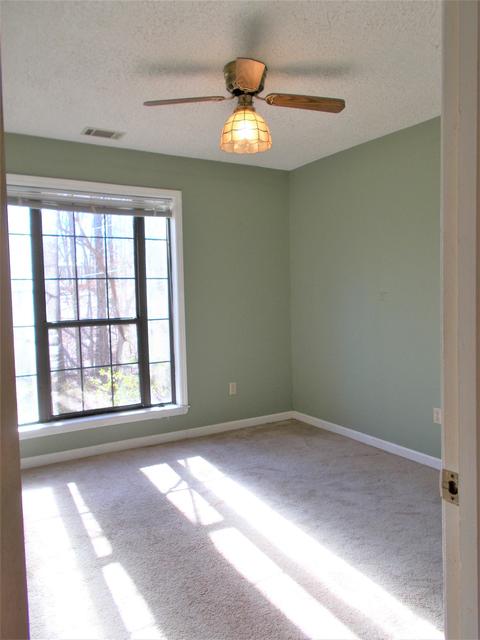 155 Raspberry Cv, Eads, TN 38028 photo 24