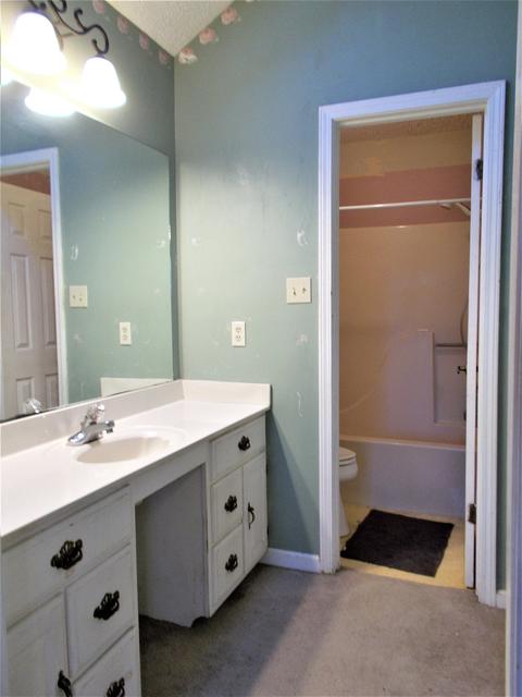 155 Raspberry Cv, Eads, TN 38028 photo 20