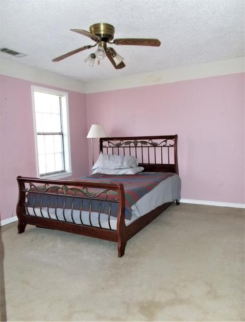 155 Raspberry Cv, Eads, TN 38028 photo 19