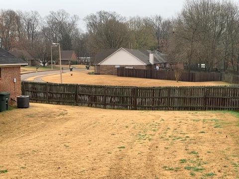 7269 La Casa Dr, Bartlett, TN 38133 photo 20